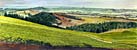 Hyland Vineyard panorama