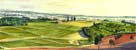 Hyland Vineyard panorama